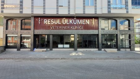 Resul Ülkümen Veteriner Kliniği: Karaman’ın Güvenilir Evcil Hayvan Sağlığı Merkezi